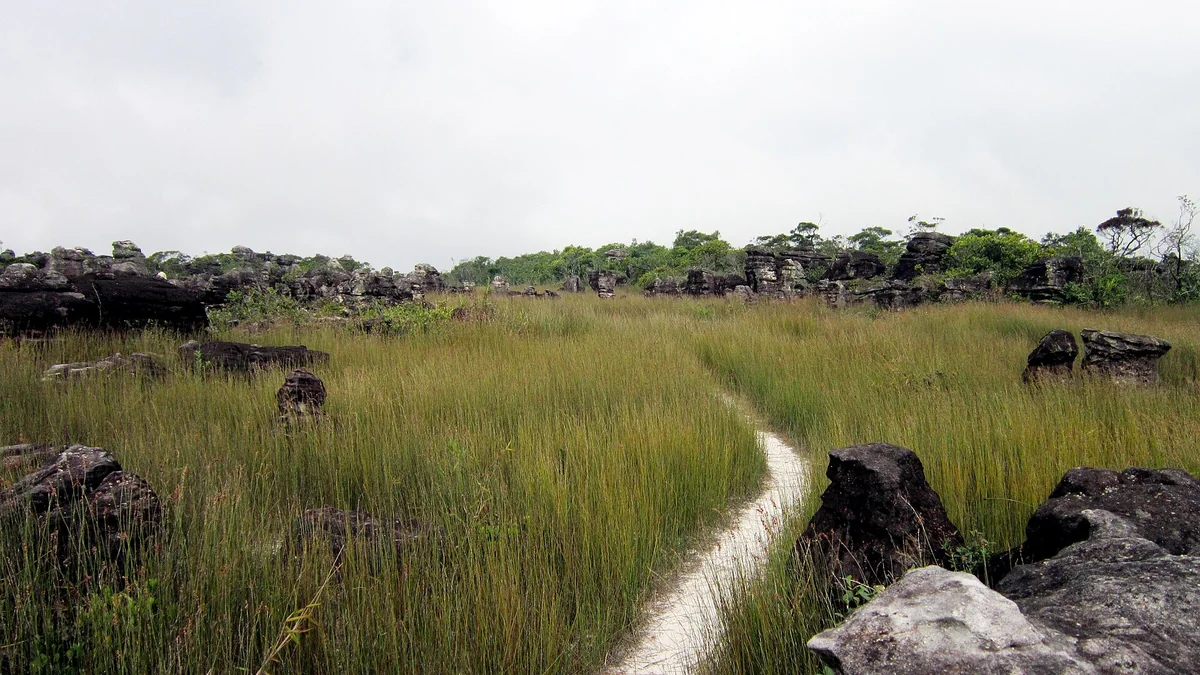 Mountain landscape in Bokor National Park